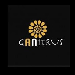 Ganitrus Sink Industries Morbi